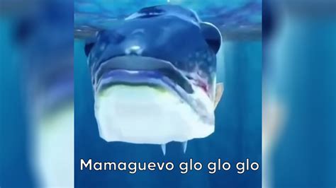 Mamawebo .
